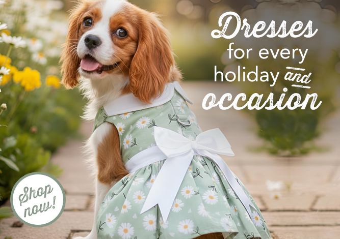 Doggie Design Dresses