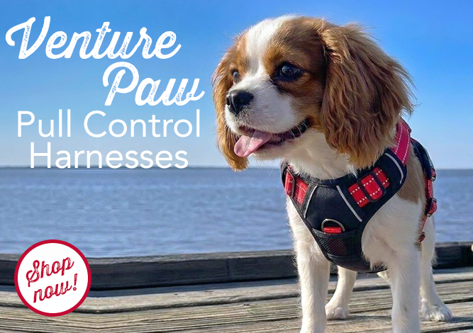 Doggie Design Venture Paw Pull Control Harnesses