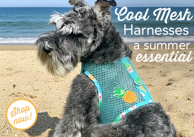 Cool Mesh Harnesses