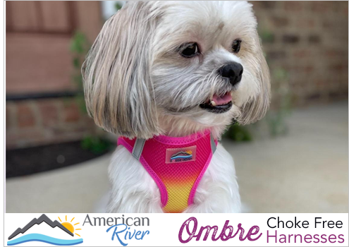 Doggie Design American River Ombre Choke Free Harnesses